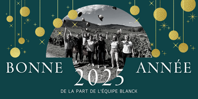 Bonne année 2025 !