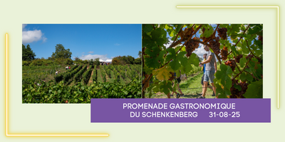Promenade Gastronomique du Schenkenberg du 31 Août 2025