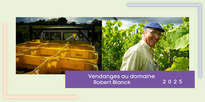 Vendanges 2025